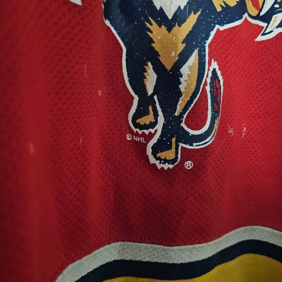 Vintage Starter 90s Starter Florida Panthers Jersey 34 Vanbiesbrouck M Medium - Picture 3 of 5